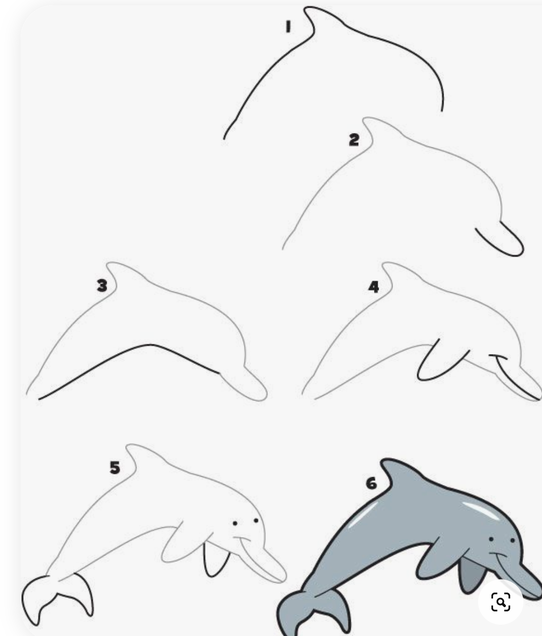 How to draw a bottlenose dolphin | dolphin | How to draw a bottlenose  dolphin Step by step | By DRAWING PENCIL | Facebook